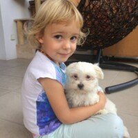 Bonjour,
Tout va bien, notre petite Txiki prend ses repères et nous donne plein de joie ! Elle n'est pas du tout peureuse et s'adapte à tout type de situation (resto, parc pour enfant, bruits de machines...).
Elle joue beaucoup avec ma fille, c'est drôle comment les enfants (chien et humain) s'attirent irrésistiblement.
J'ai pris rdv pour le 29/07 pour le rappel et le vaccin de la rage. Mon véto a toute les marques citées dans votre papier de recommandations.
Je trouve qu'elle ne mange pas beaucoup, je remet le 3/8 du doseur qu'une fois par jour. Peut être les chaleurs influent ou bien elle n'est pas encore assez à l'aise pour avoir un bon appétit...?
Elle commence à comprendre le "non" et va faire ses besoins sur le papier journal installé sur le balcon. Lorsque je suis absente longtemps, il y a une dog sitter qui vient lui rendre visite. Txiki commence à s'habituer à la laisse et au harnais.
C'est un amour de chien, je suis ravie !! Elle est sociable, joyeuse, téméraire, douce et câline.
Je vous appelle dès que le chèque est encaissé pour finaliser l'achat.
A bientôt
Florence Oçafrain