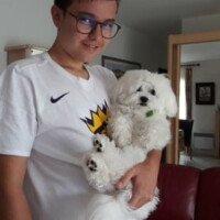 Voilà votre chien oxo achete le 15 nov 2018 il est né le 15 sept il a 1 an c est un amour de toutou on l adore il est parfait merci encore pour votre super elevage famille lassegue de narrosse