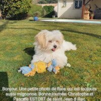 Bonjour, une petite photo de Raia qui est toujours aussi mignonne. Bonne journée, Christophe et Pascale Estort de St Jean d'Illac Bonjour, une petite photo de Raia qui est toujours aussi mignonne. Bonne journée, Christophe et Pascale Estort de St Jean d'Illac