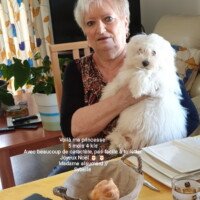 Decembre 2021: Voici ma prinscesse 5mois 4kls avec beaucoup de caractére pas facile à toiletter. Joyeux Noel!!! Mme Alsumard// Sybelle Decembre 2021: Voici ma prinscesse 5mois 4kls avec beaucoup de caractére pas facile à toiletter. Joyeux Noel!!! Mme Alsumard// Sybelle