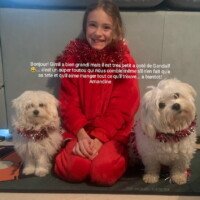 Bonjour, Gimly à bien grandit mais il est tres petit à coté de Gandalf. C'est un super toutou qui nous comble même s'il n'en fait qu'a sa tête et qu'il aime manger tout ce qu'il trouve. A bientôt! Amandine Bonjour, Gimly à bien grandit mais il est tres petit à coté de Gandalf. C'est un super toutou qui nous comble même s'il n'en fait qu'a sa tête et qu'il aime manger tout ce qu'il trouve. A bientôt! Amandine