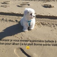 bonsoir, premiere ballade d'Ulhan à l océan, ca luit plait bonsoir, premiere ballade d'Ulhan à l océan, ca luit plait