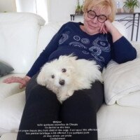 Bonjour, voici des nouvelles de Choupy. Ce dernier va très bien. Il est propre depuis peu mais obéit et très sage. Il est aussi très affectueux. Son premier toilettage a été effectué il y a quelques jours. Je vous envoie une photo. Cordialement Annie Duzer Bonjour, voici des nouvelles de Choupy. Ce dernier va très bien. Il est propre depuis peu mais obéit et très sage. Il est aussi très affectueux. Son premier toilettage a été effectué il y a quelques jours. Je vous envoie une photo. Cordialement Annie Duzer