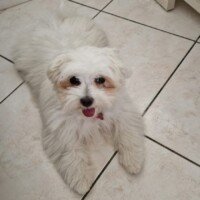 Septembre 2025: bonjour quelques nouvelles de Aîdy, cordialement, M JP Charlier Septembre 2025: bonjour quelques nouvelles de Aîdy, cordialement, M JP Charlier