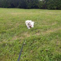 Septembre 2025: bonjour quelques nouvelles de Aîdy, cordialement, M JP Charlier Septembre 2025: bonjour quelques nouvelles de Aîdy, cordialement, M JP Charlier