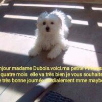 Bonjour Mme Dubois, voici ma petite princesse à 4 mois. Elle va très bien, je vous souhaite une très bonne journée. Cordialement, Mme Maybel