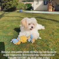 Bonjour, une petite photo de Raia qui est toujours aussi mignonne. Bonne journée, Christophe et Pascale Estort de St Jean d'Illac Bonjour, une petite photo de Raia qui est toujours aussi mignonne. Bonne journée, Christophe et Pascale Estort de St Jean d'Illac
