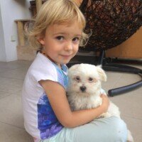 Bonjour,
Tout va bien, notre petite Txiki prend ses repères et nous donne plein de joie ! Elle n'est pas du tout peureuse et s'adapte à tout type de situation (resto, parc pour enfant, bruits de machines...).
Elle joue beaucoup avec ma fille, c'est drôle comment les enfants (chien et humain) s'attirent irrésistiblement.
J'ai pris rdv pour le 29/07 pour le rappel et le vaccin de la rage. Mon véto a toute les marques citées dans votre papier de recommandations.
Je trouve qu'elle ne mange pas beaucoup, je remet le 3/8 du doseur qu'une fois par jour. Peut être les chaleurs influent ou bien elle n'est pas encore assez à l'aise pour avoir un bon appétit...?
Elle commence à comprendre le "non" et va faire ses besoins sur le papier journal installé sur le balcon. Lorsque je suis absente longtemps, il y a une dog sitter qui vient lui rendre visite. Txiki commence à s'habituer à la laisse et au harnais.
C'est un amour de chien, je suis ravie !! Elle est sociable, joyeuse, téméraire, douce et câline.
Je vous appelle dès que le chèque est encaissé pour finaliser l'achat.
A bientôt
Florence Oçafrain