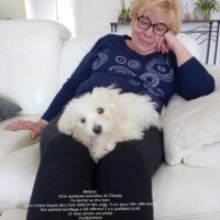 Bonjour, voici des nouvelles de Choupy. Ce dernier va très bien. Il est propre depuis peu mais obéit et très sage. Il est aussi très affectueux. Son premier toilettage a été effectué il y a quelques jours. Je vous envoie une photo. Cordialement Annie Duzer Bonjour, voici des nouvelles de Choupy. Ce dernier va très bien. Il est propre depuis peu mais obéit et très sage. Il est aussi très affectueux. Son premier toilettage a été effectué il y a quelques jours. Je vous envoie une photo. Cordialement Annie Duzer